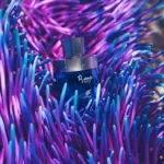 اکستریت د پارفوم ریر ریف افنان Rare Reef Afnan